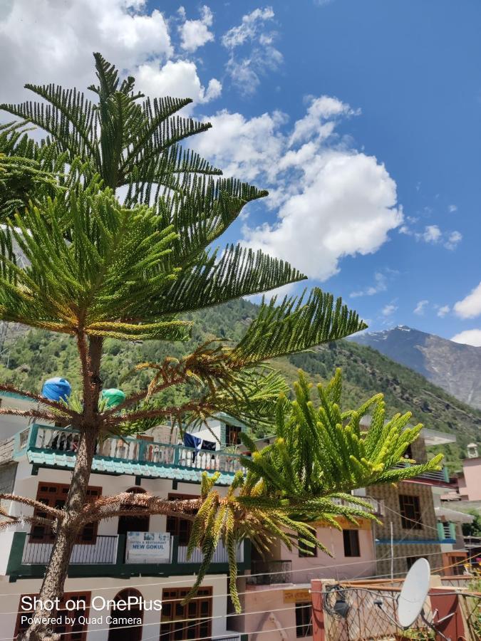 Hari Krishna Guest House Pandukeshwar Kültér fotó